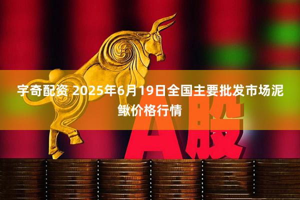 宇奇配资 2025年6月19日全国主要批发市场泥鳅价格行情