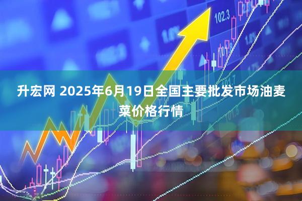 升宏网 2025年6月19日全国主要批发市场油麦菜价格行情