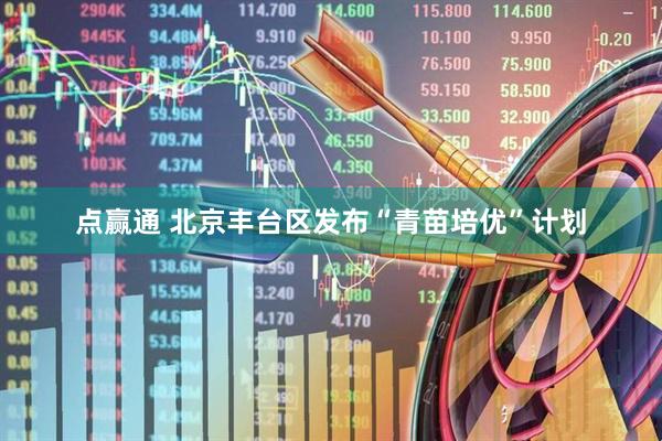 点赢通 北京丰台区发布“青苗培优”计划