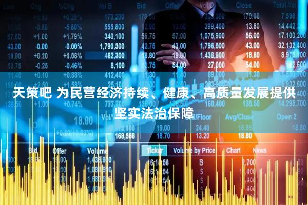 天策吧 为民营经济持续、健康、高质量发展提供坚实法治保障
