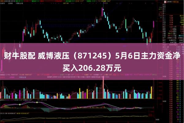 财牛股配 威博液压（871245）5月6日主力资金净买入206.28万元