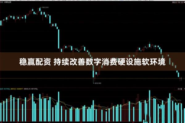 稳赢配资 持续改善数字消费硬设施软环境