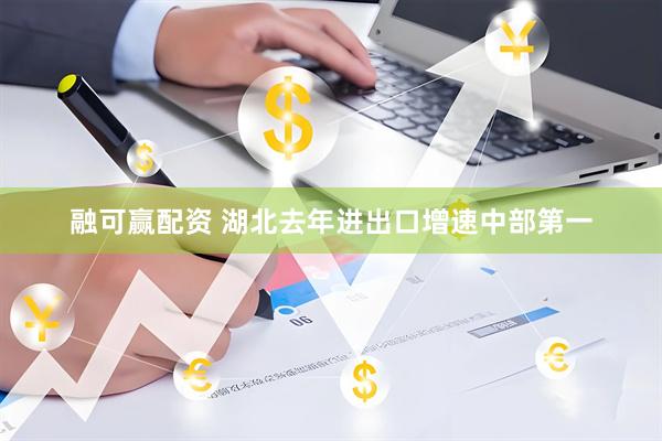 融可赢配资 湖北去年进出口增速中部第一