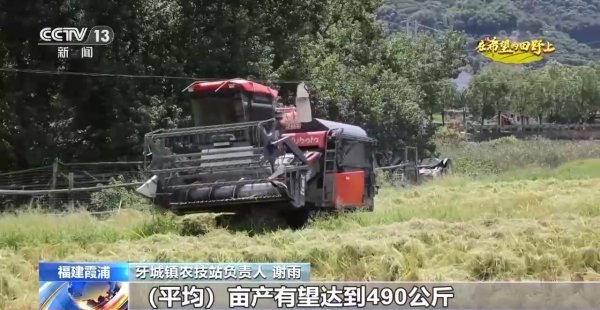 宏盛证券 新品种、新技术、稻薯轮作……帮农民增产又增收